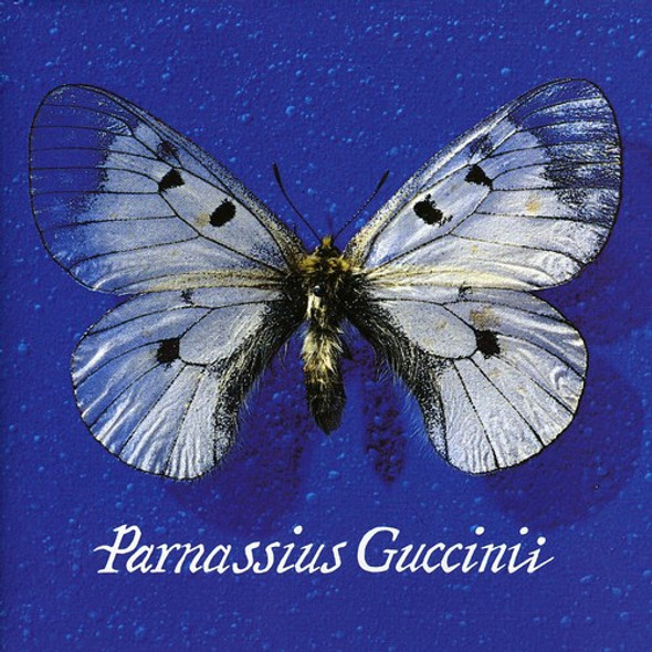 Guccini,Francesco Parnassius Guccinii CD