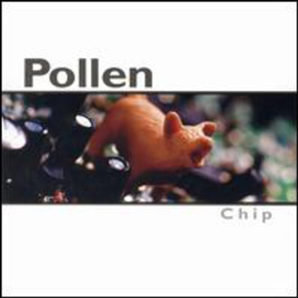 Pollen Chip CD