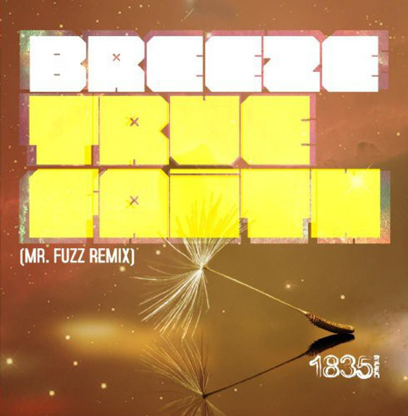 Breeze True Faith (Mr Fuzz Remix) CD5 Maxi-Single