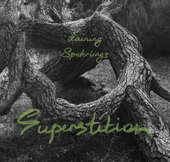 Raining Spiderlings Superstition CD