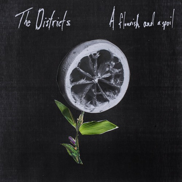 Districts Flourish And A Spoil LP Vinyl