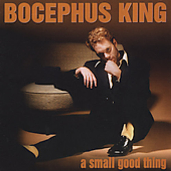 Bocephus King Small Good Thing CD