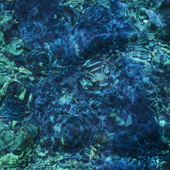 LUMINESCENT CREATURES