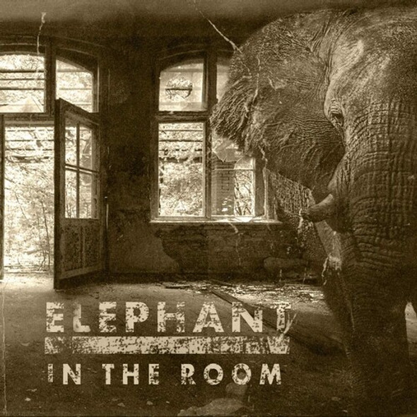ELEPHANT IN THE ROOM