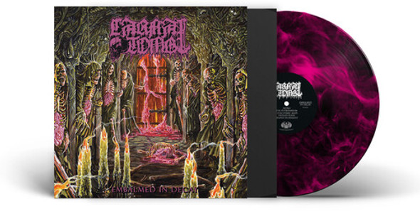 EMBALMED IN DECAY - MAGENTA/BLACK MARBLE