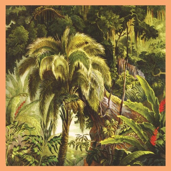 LA FORET