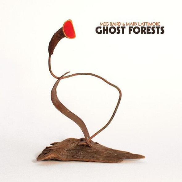 GHOST FORESTS