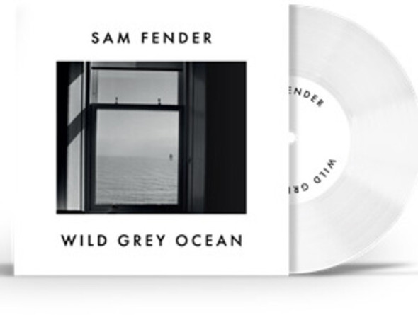 WILD GREY OCEAN / LITTLE BULL OF BLITHE