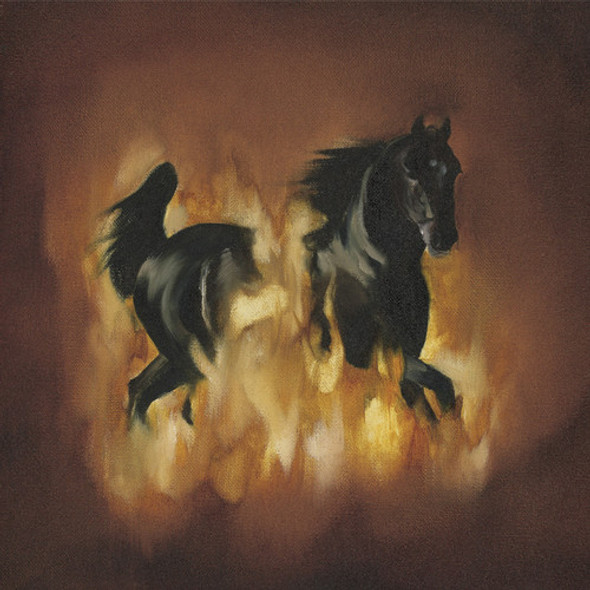 BESNARD LAKES ARE THE DARK HORSE
