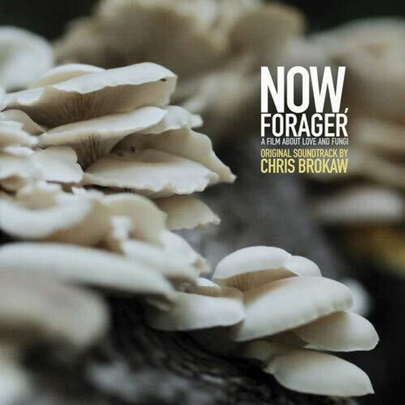 NOW FORAGER - O.S.T.