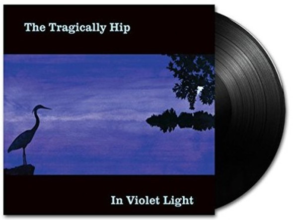 IN VIOLET LIGHT