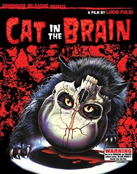 CAT IN THE BRAIN