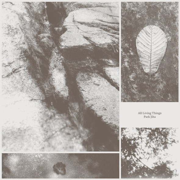 ALL LIVING THINGS
