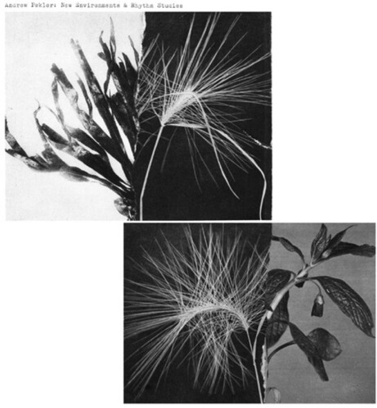 NEW ENVIRONMENTS & RHYTHM STUDIES