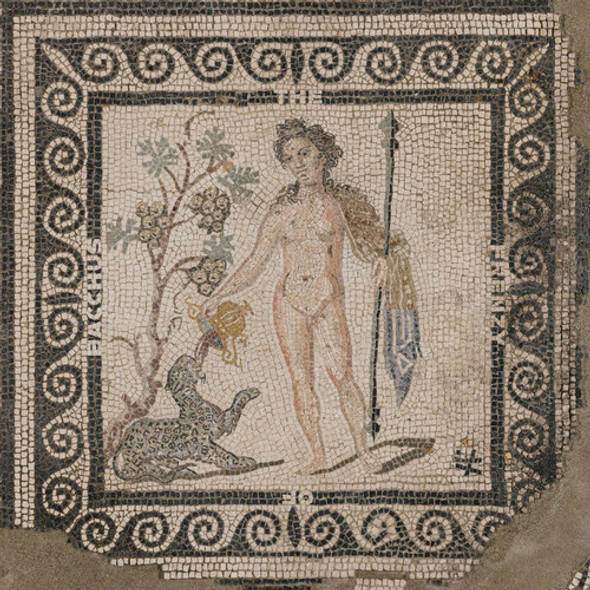 FRENZY OF BACCHUS