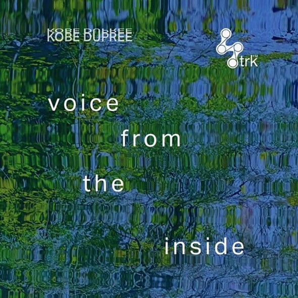 VOICE FROM THE INSIDE