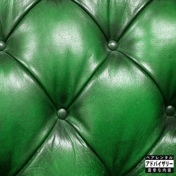 Sonnyjim / Camoflauge Monk Money Green Leather Sofa LP Vinyl