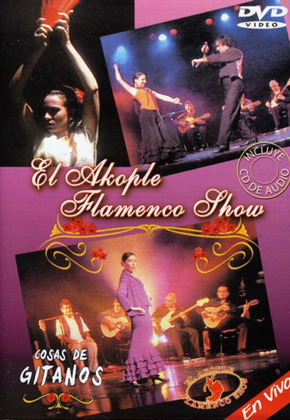Baile Flamenco Pal Videos