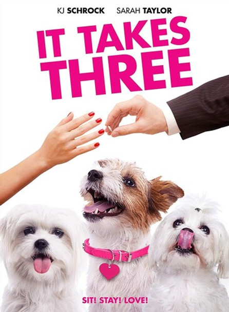 It Takes Three DVD