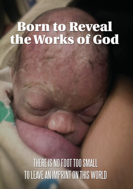 Born To Reveal The Works Of God DVD