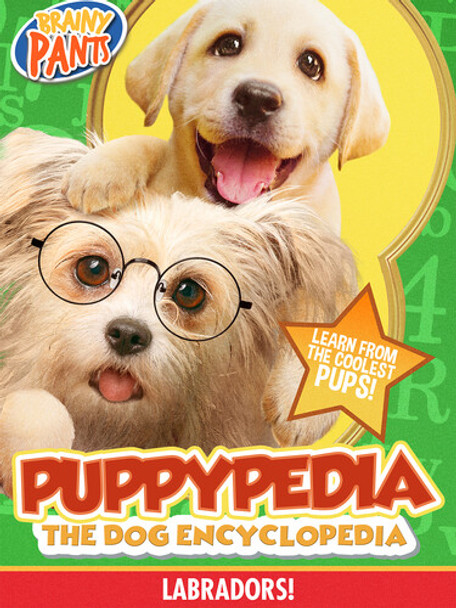 Puppy-Pedia The Dog Encyclopedia: Labradors DVD