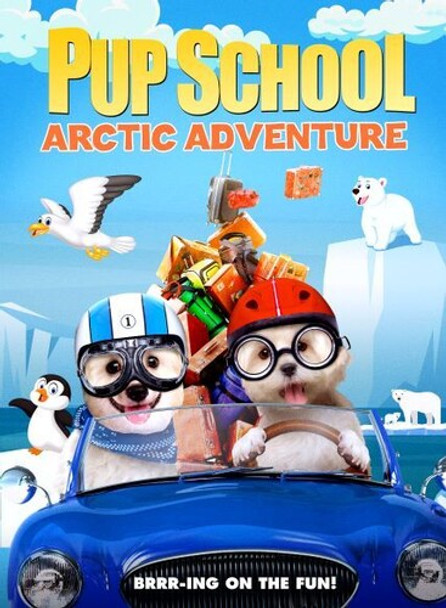 Pup School: Arctic Adventure DVD