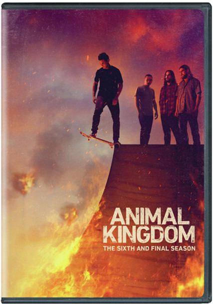 Animal Kingdom: Season 6 DVD