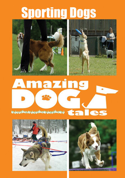 Amazing Dog Tales - Sporting Dogs DVD