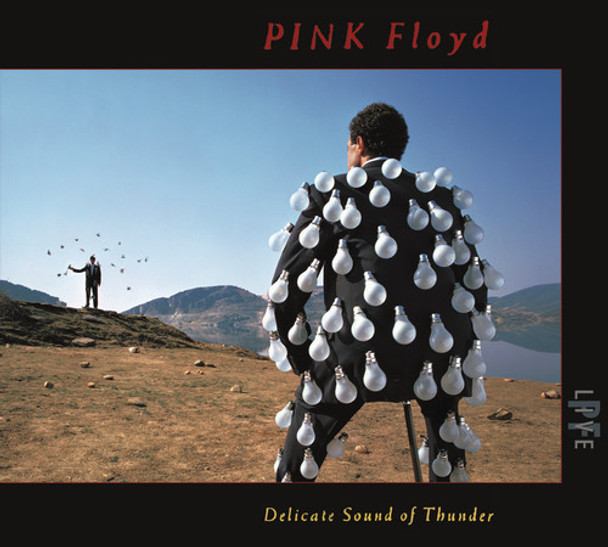 Pink Floyd Delicate Sound Of Thunder (Live) CD