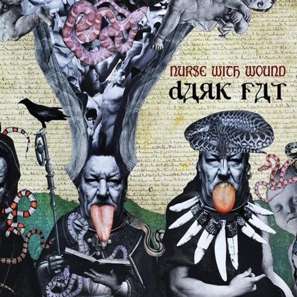 Nurse With Wound Dark Fat CD