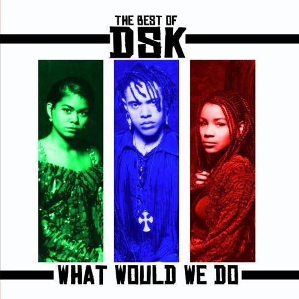 Dsk Best Of: What Would We Do CD