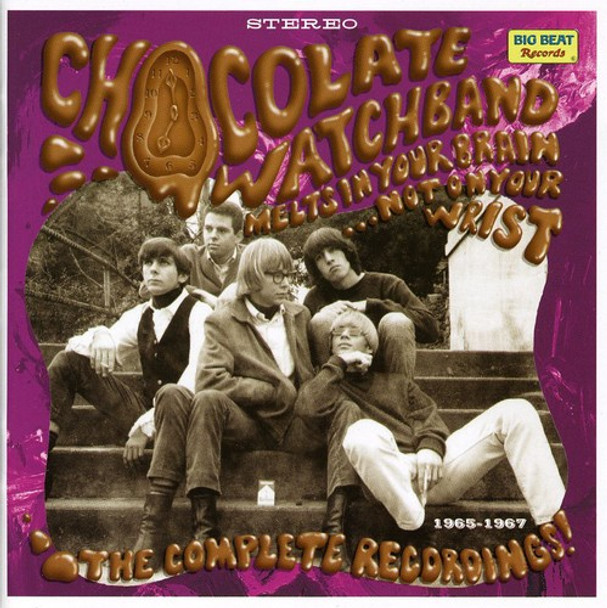 Chocolate Watchband Melts In Your Brain Not On Your Wrist CD