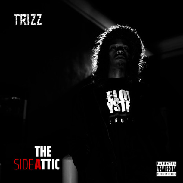 Trizz Attic CD