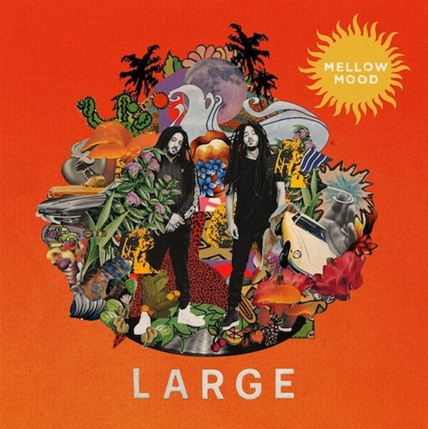 LARGE
