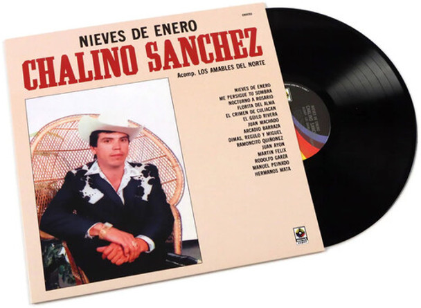 NIEVES DE ENERO