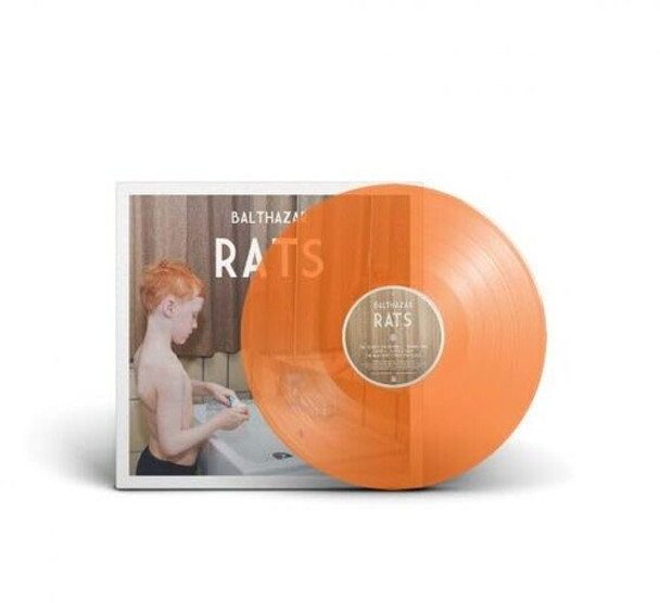 RATS - ORANGE