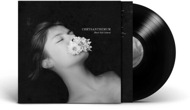 CHRYSANTHEMUM