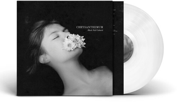 CHRYSANTHEMUM - SOLID WHITE