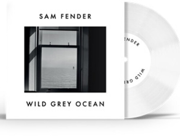 WILD GREY OCEAN / LITTLE BULL OF BLITHE