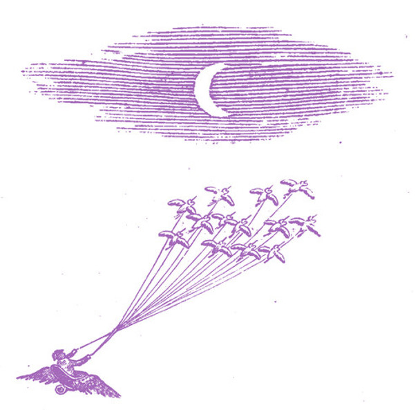 MIGRATION MAGIC