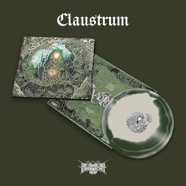 CLAUSTRUM
