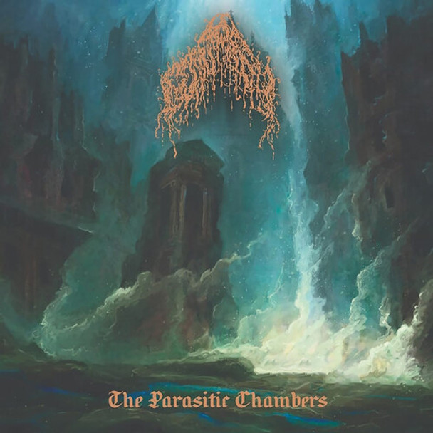 PARASITIC CHAMBERS