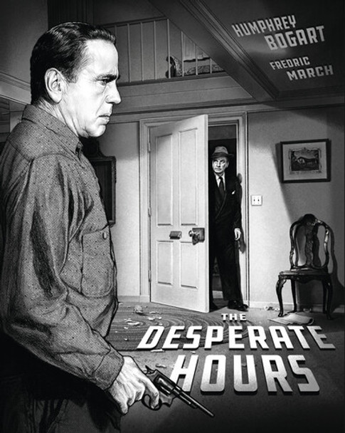 DESPERATE HOURS