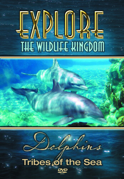 Dolphins Tribes Of The Sea DVD