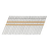Metabo HPT Collated Duplex Nail | 2-3/4 Inch | 21 Degree | Plastic Strip | For Use with NR3675DD | 50234-8D