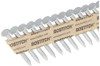 BOSTITCH (1000 PACK) Framing Nails, Paper Tape Collated, Galvanized Metal Connector, 1-1/2-Inch x .131-Inch,  (PT-MC13115G-1M)