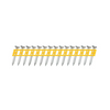 DEWALT (1000 COUNT) DCN890100 1 x .102 Inch CCN Concrete Pins