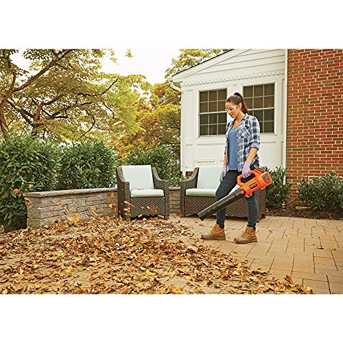 Black+Decker BCK279D2 20V MAXAxial Leaf Blower and String Trimmer Combo Kit