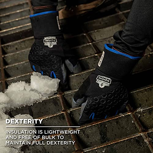 Ergodyne (1-Pair Size-L) unisex adult Reinforced Thermal Waterproof Winter Work Gloves, Black