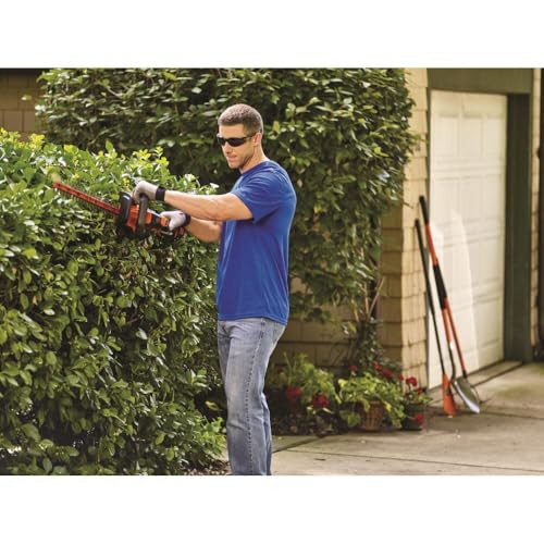 BLACK+DECKER 20V MAX* String Trimmer, Powercut, 22-Inch, (LHT321)